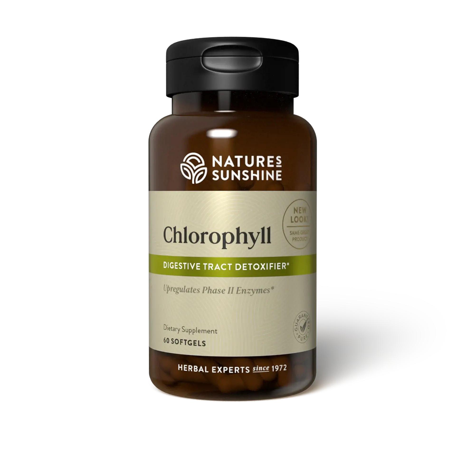 Chlorophyll