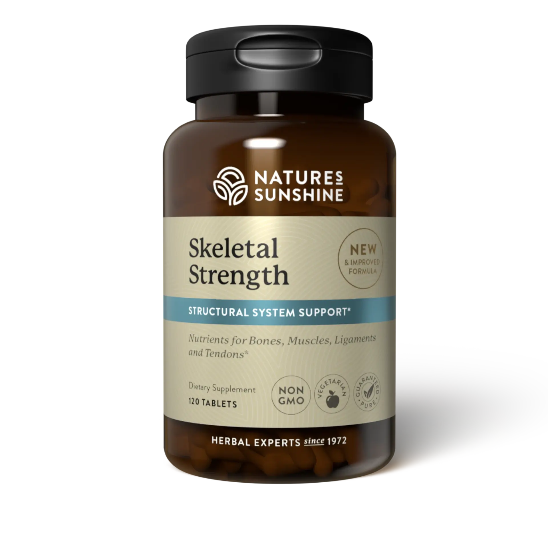 Skeletal Strength