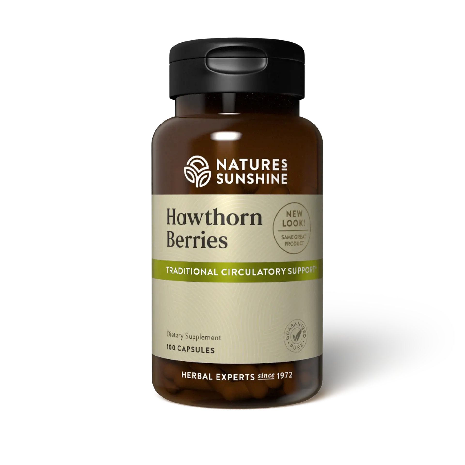 Hawthorn Berries