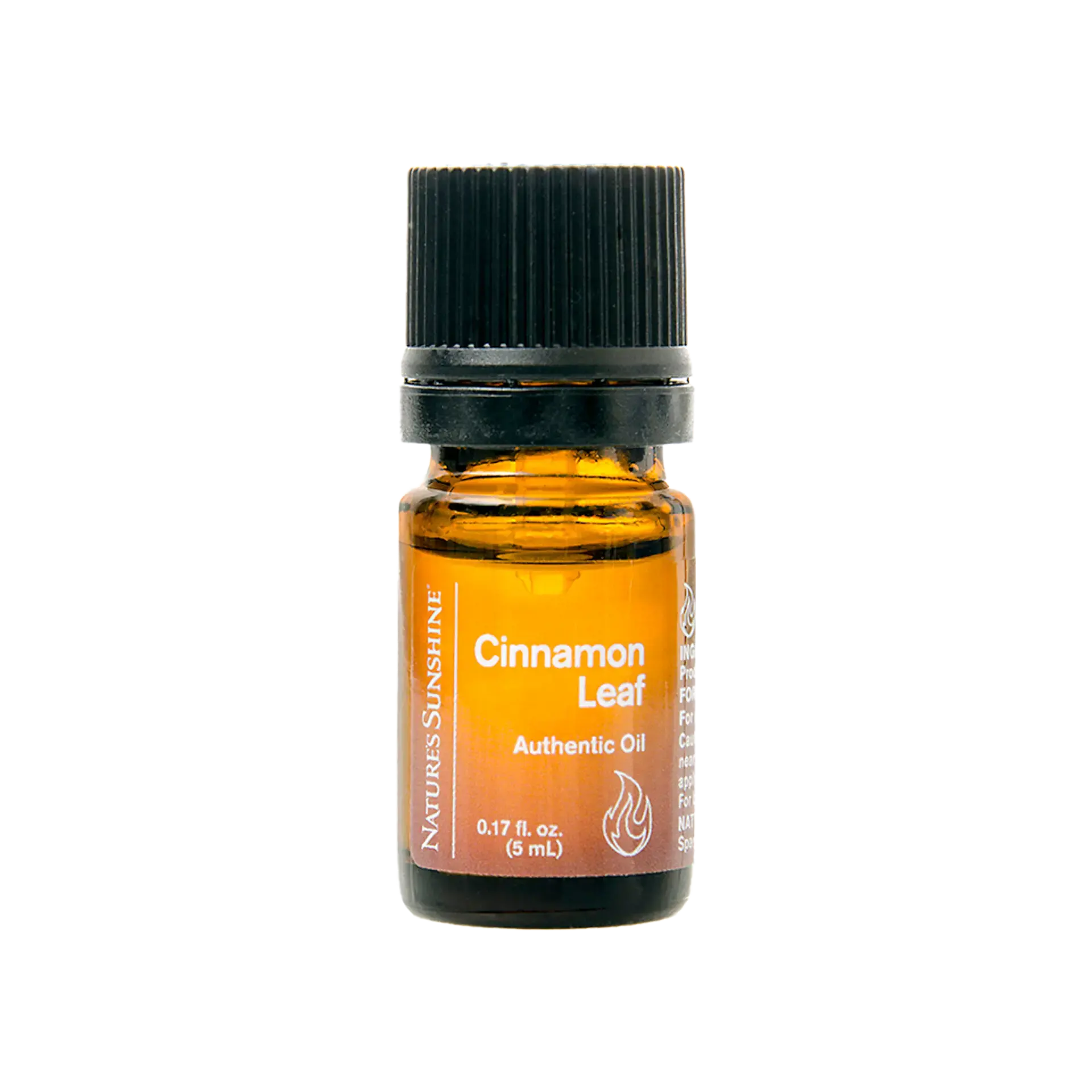 Cinnamon Leaf Essential Oil