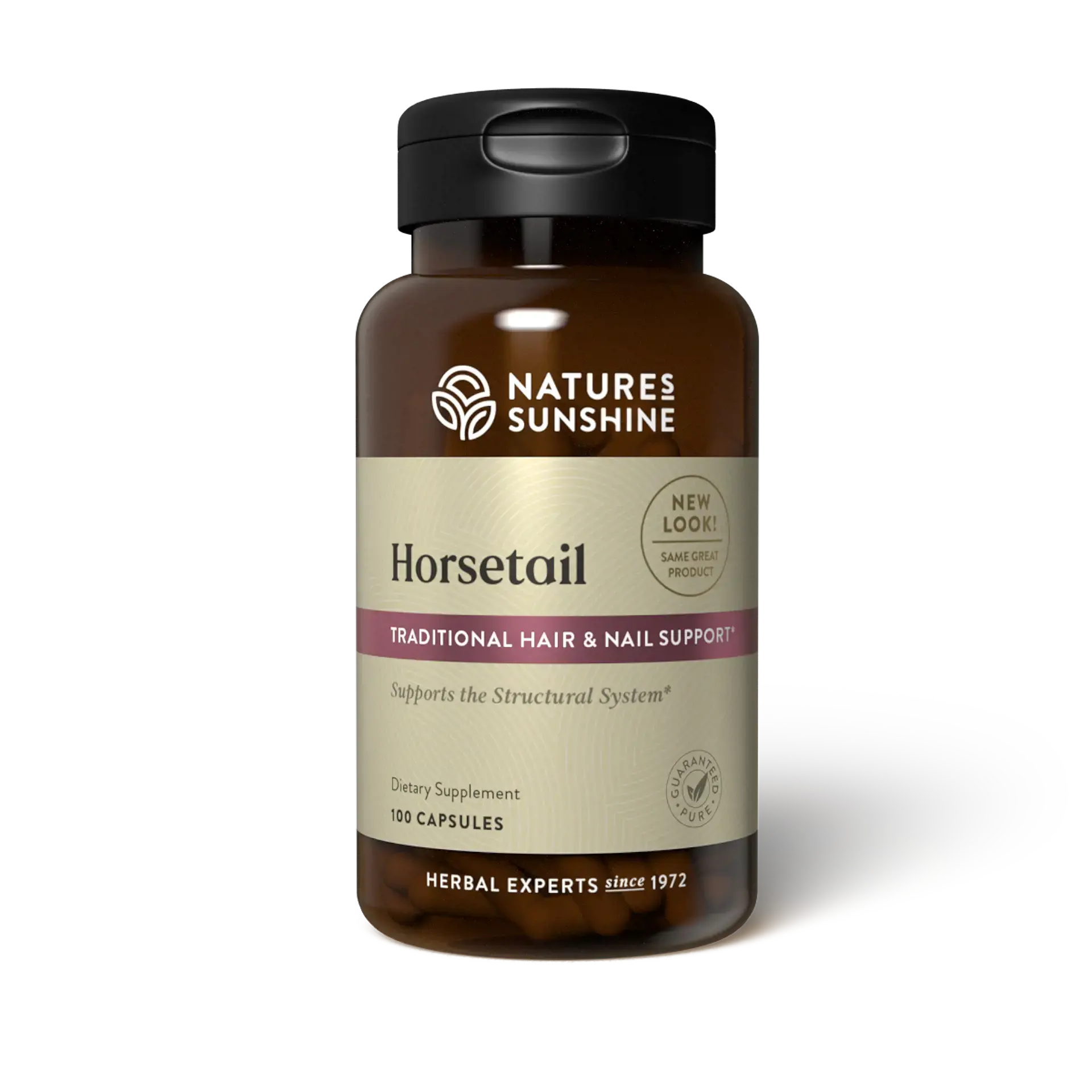 Horsetail
