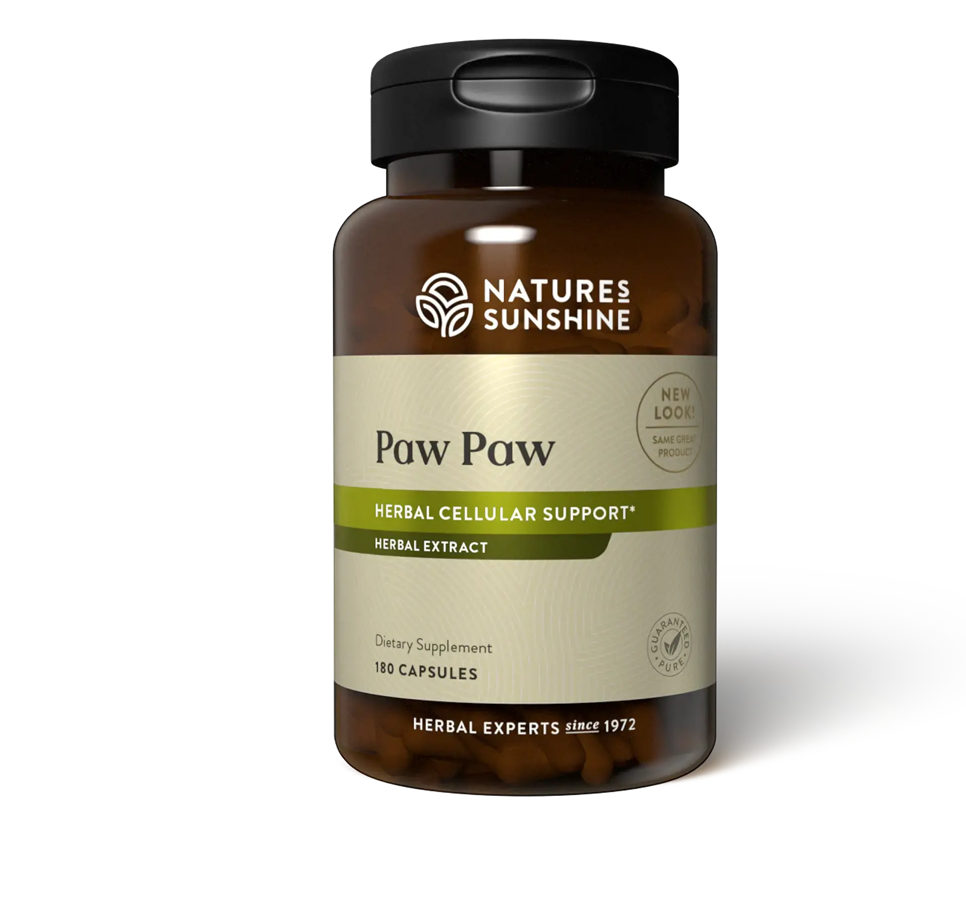 Paw Paw