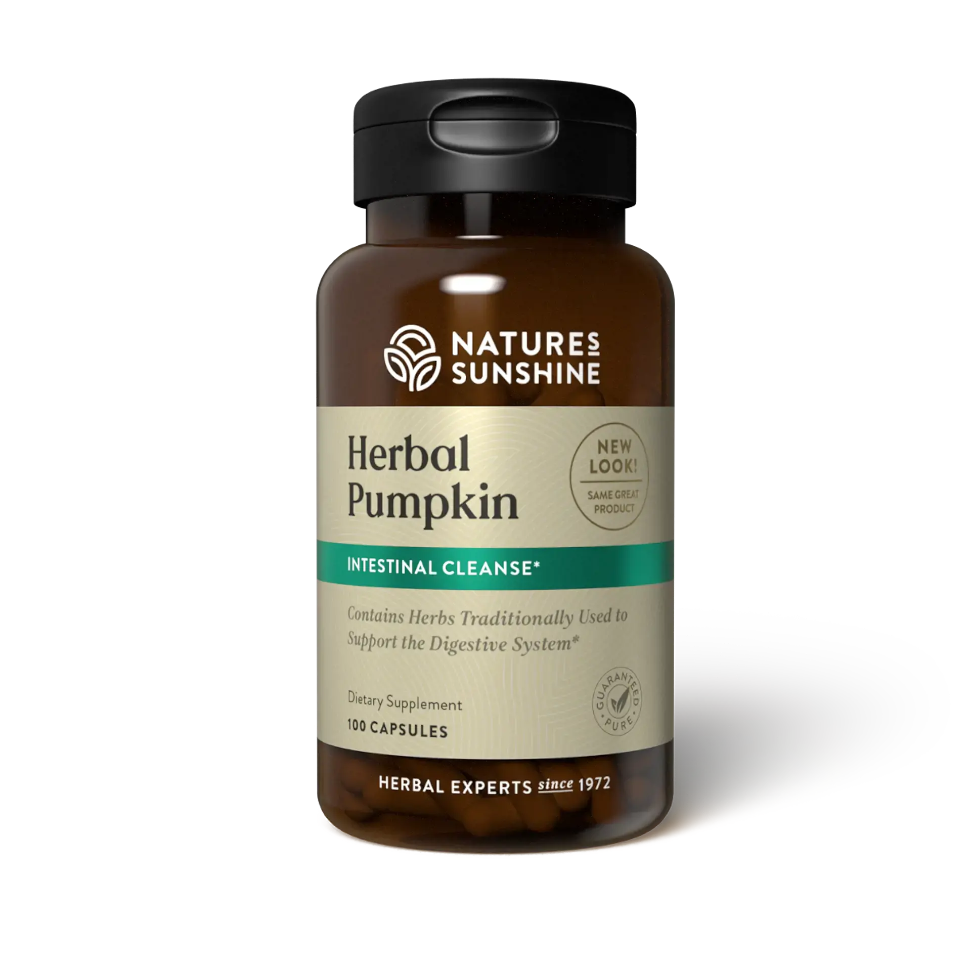 Herbal Pumpkin
