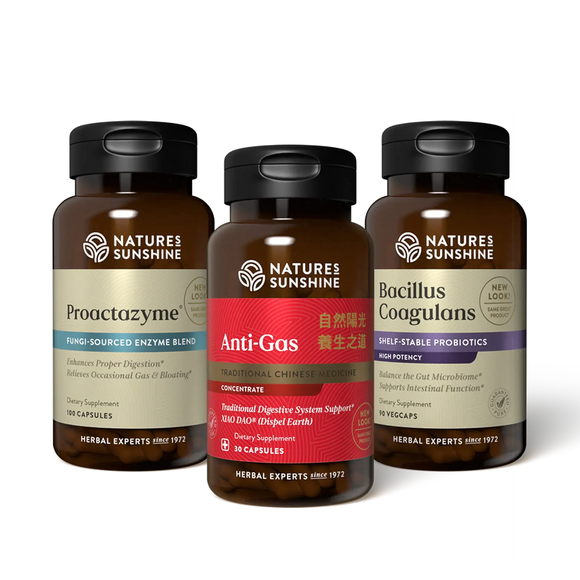 Digestive System Pack